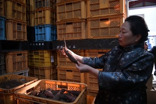 徐榛蔚赴日考察  參訪交流芋屋長兵衛農產加工