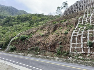 太魯閣震後邊坡新生 原生植物長出小苗播種志工落淚