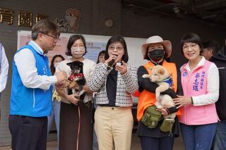 竹縣動保所13隻柴犬認養 超過200人到場搶抽