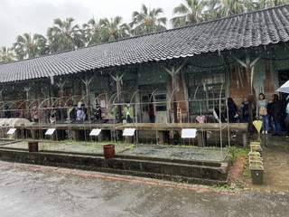 磯永吉小屋100週年  台大用AI復原歷史照片