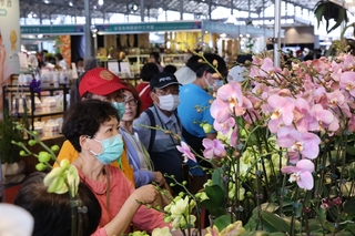 台灣國際蘭展首週14.3萬人次  較2024年增長17%