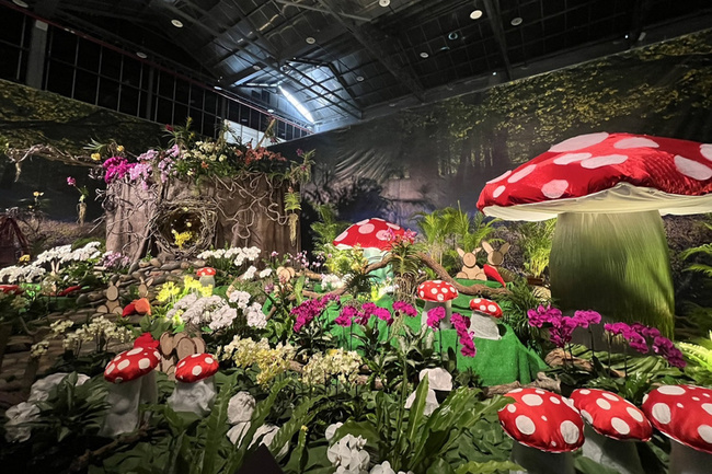 台灣國際蘭展沉浸「野性秩序」花藝 展期剩最後一週 | 華視新聞