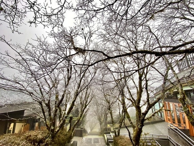 冷氣團來襲 宜蘭太平山現銀白霧淞美景 | 華視新聞