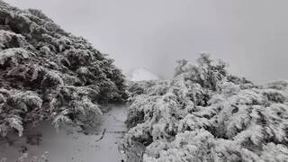 玉山飄雪 清晨零下2.6度
