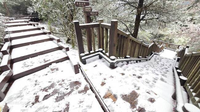 觀霧遊憩區降3月雪 步道積雪5公分 | 華視新聞