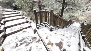 觀霧遊憩區降3月雪 步道積雪5公分