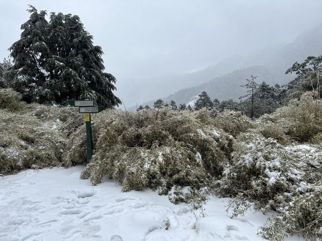 奇萊東稜山難救援 路徑遭雪覆蓋難辨搜救暫停 | 華視新聞