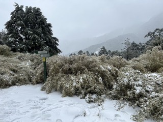 奇萊東稜山難救援  路徑遭雪覆蓋難辨搜救暫停