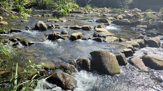 農水署田寮洋取水工程獲獎 達灌溉與生態共融