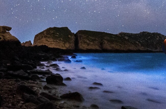 藍眼淚熱潮帶動 清明連假馬祖訂房率突破6成 | 華視新聞