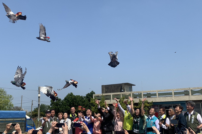 台南鴿笭文化季啟動 要讓民眾了解農村百年休閒民俗 | 華視新聞