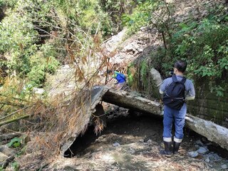 美濃月光山步道廢止 不影響「旗靈縱走」山徑通行