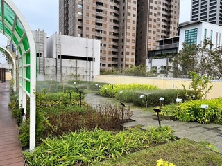 高雄建物立體綠化補助即起受理 最高補助80萬