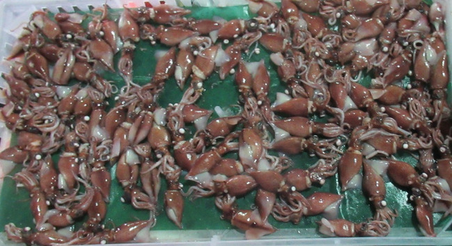 北海道進口烏賊檢出重金屬鎘超標  遭邊境攔截 | 華視新聞