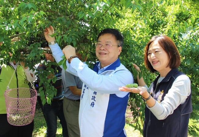 南投梅子節3/29開幕  體驗手作脆梅食農教育 | 華視新聞