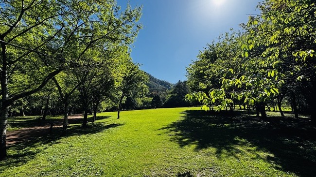 奧萬大清明連假兒童免費入園  鼓勵全家戶外休閒 | 華視新聞