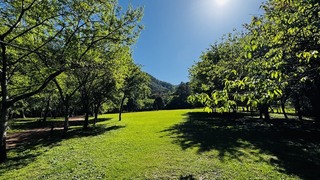 奧萬大清明連假兒童免費入園  鼓勵全家戶外休閒