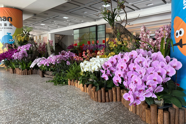 蘭展卸展花材延續魅力  妝點台南市府公共空間 | 華視新聞