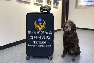 緬甸地震台灣特搜完成整備 超強搜救犬Amei待命