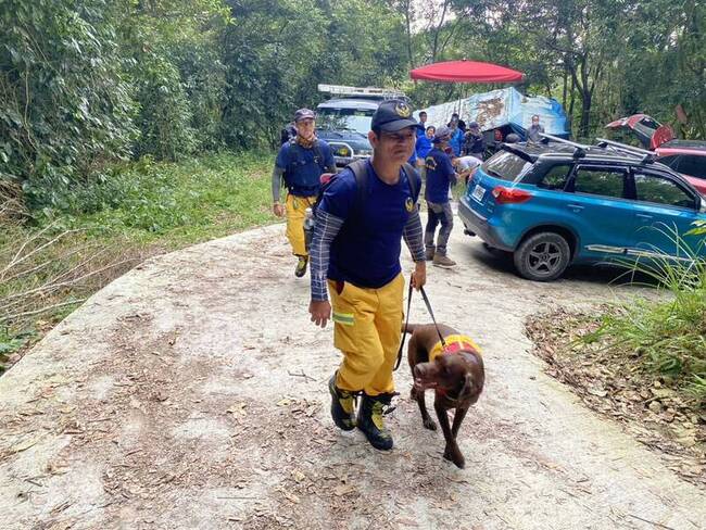 緬甸地震 高雄重型認證搜救犬藍波整備完成待命 | 華視新聞