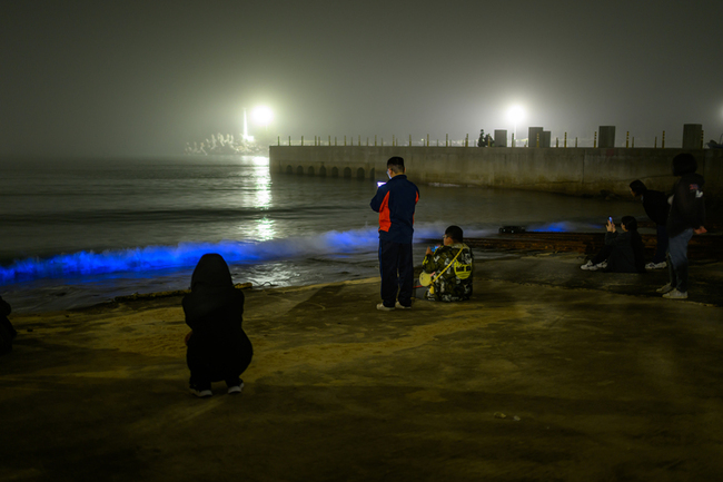 金門生態「藍眼淚」現蹤 民眾相約賞淚 | 華視新聞