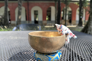 台南巷仔Niau公仔熱銷 文化局推創意圖分享投稿