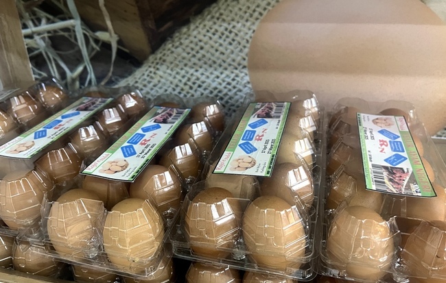 美國蛋荒 印尼雞蛋產能過剩盼出口助美緩解 | 華視新聞