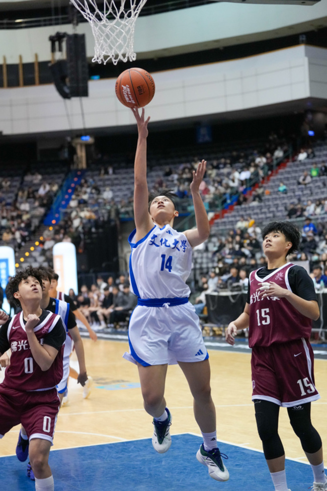 UBA鄭慧慈自比從紅花變綠葉 創紀錄夜率文化稱后 | 華視新聞