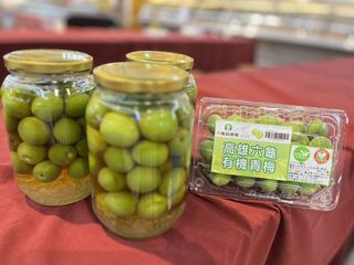 青梅產季 高市農業局：上架量販店更貼近消費市場