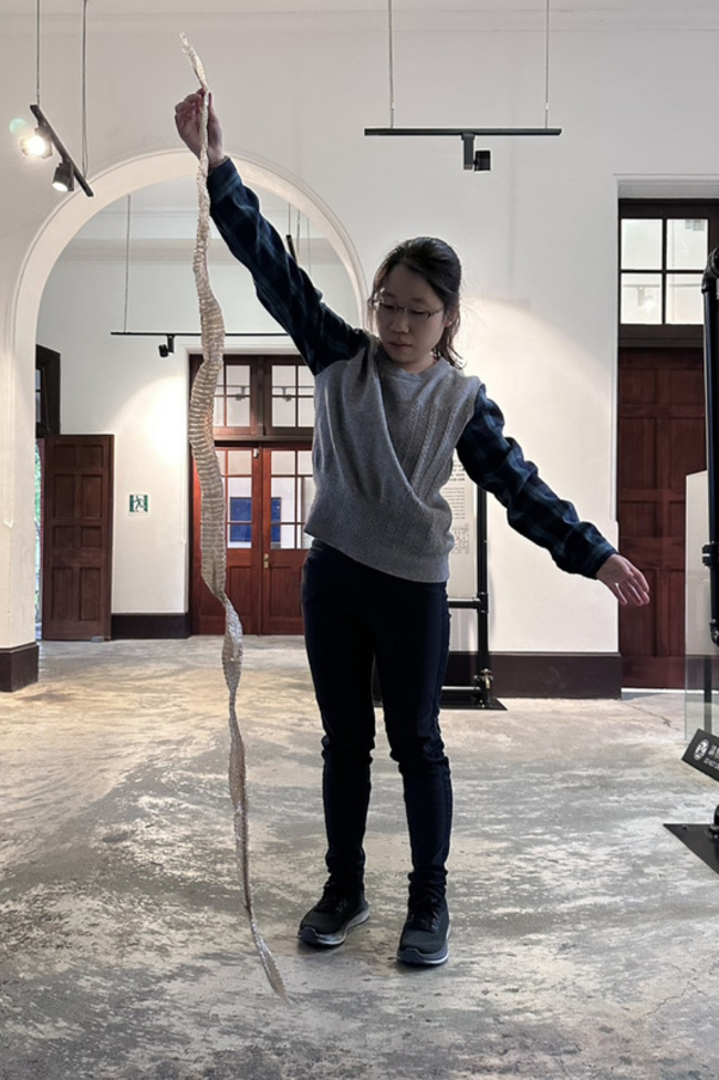 台南水道博物館生態豐富 發現2公尺完整蛇蛻 | 華視新聞