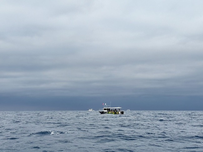 墾管處派船戒護大翅鯨 籲賞鯨距離300公尺 | 華視新聞