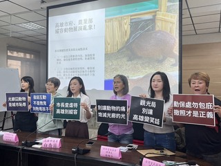 高雄中央公園動物互動園區惹議 市府：會嚴格把關