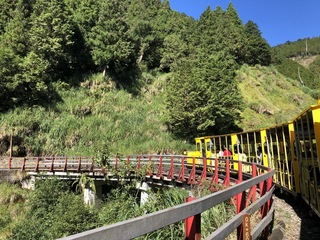 清明連假  13國家森林遊樂區12歲以下兒童免費