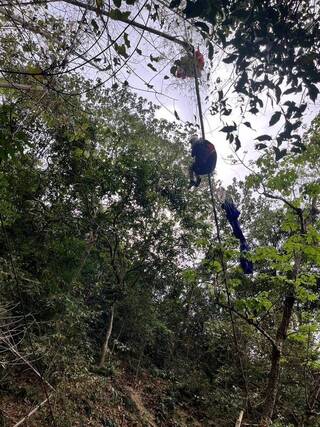 屏東飛行傘玩家卡10公尺高樹 消防局協助脫困