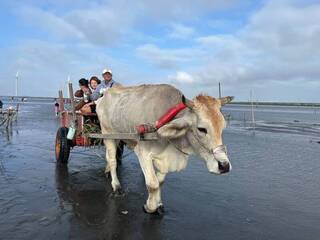 彰化5處入選百大文化基地 縣府續推多元旅遊體驗