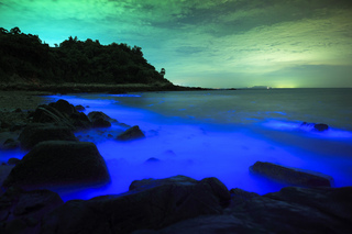 馬祖南竿夜關路燈利追淚  北竿開大坵船班可賞鹿