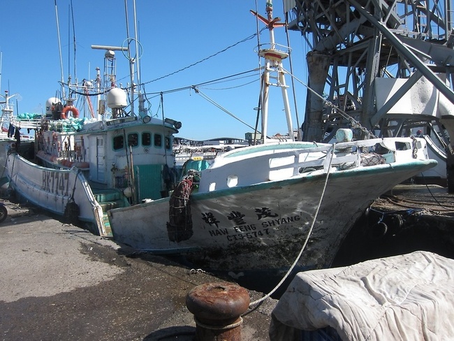 東港籍漁船通報捕獲屏東第1鮪 4/7驗明正身 | 華視新聞