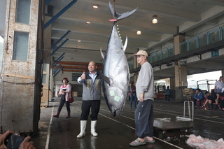 「蘇澳第一鮪」216公斤 船長：像拉霸中彩金