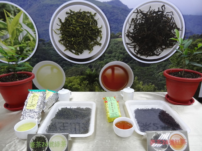 32%對等關稅 台灣出口茶葉銷美居冠憂衝擊 | 華視新聞