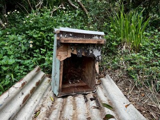 高雄蜂箱遭黑熊取食 林保署籲通報並妥善收納食物