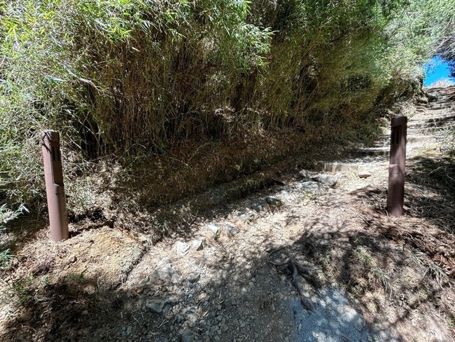 玉山塔塔加設人流計數器 精準掌握環境負荷提升服務 | 華視新聞