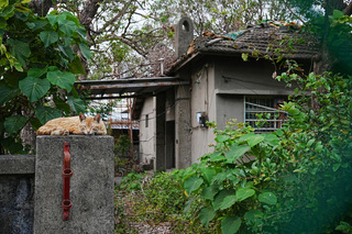 東港共和新村保存再發展計畫 研擬準則5月將送審