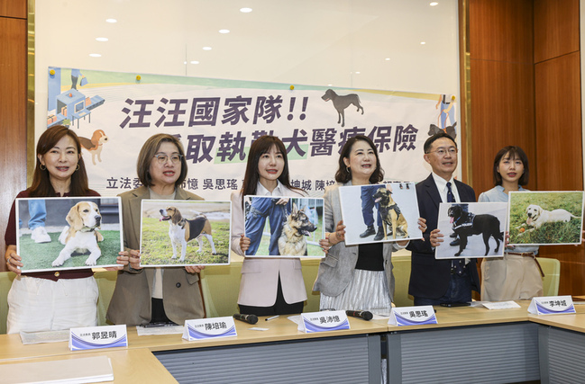 執勤犬成保單孤兒 立委爭取醫療保險盼強制納保 | 華視新聞
