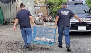 婉拒助弱勢生學費遭國小職員嗆冷血 動保團體無奈