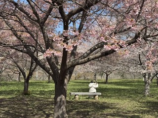 日本二三線城市變熱門  20萬台客遊大分