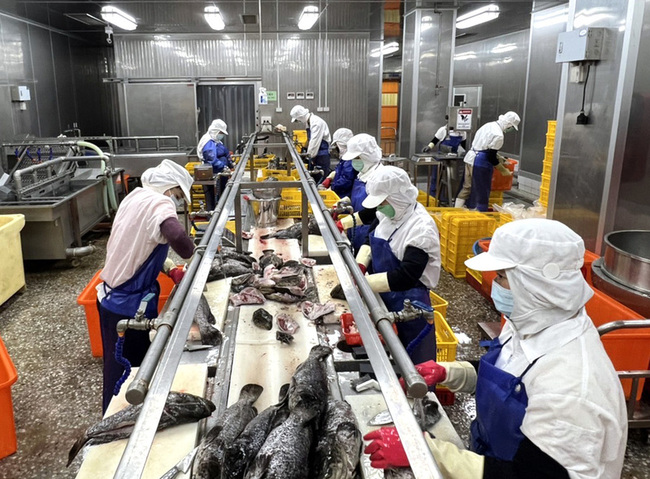 對等關稅暫緩實施  高雄加工廠盼政府助國際認證 | 華視新聞