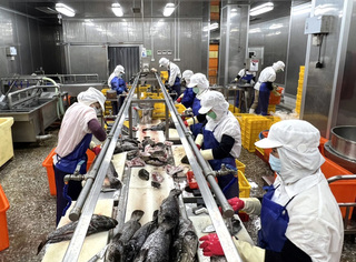 對等關稅暫緩實施  高雄加工廠盼政府助國際認證