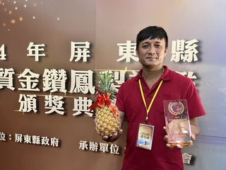 青年習農12年 潘琮詠奪屏東金鑽鳳梨評鑑冠軍