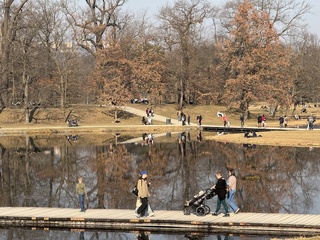 捷克2024年新生兒8.4萬創新低  結婚減少離婚增加