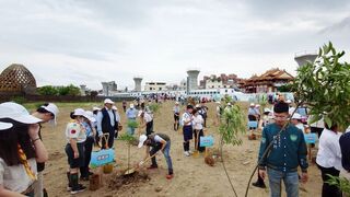 嘉市阿里山林業村整地植樹  形塑開闊森林景緻